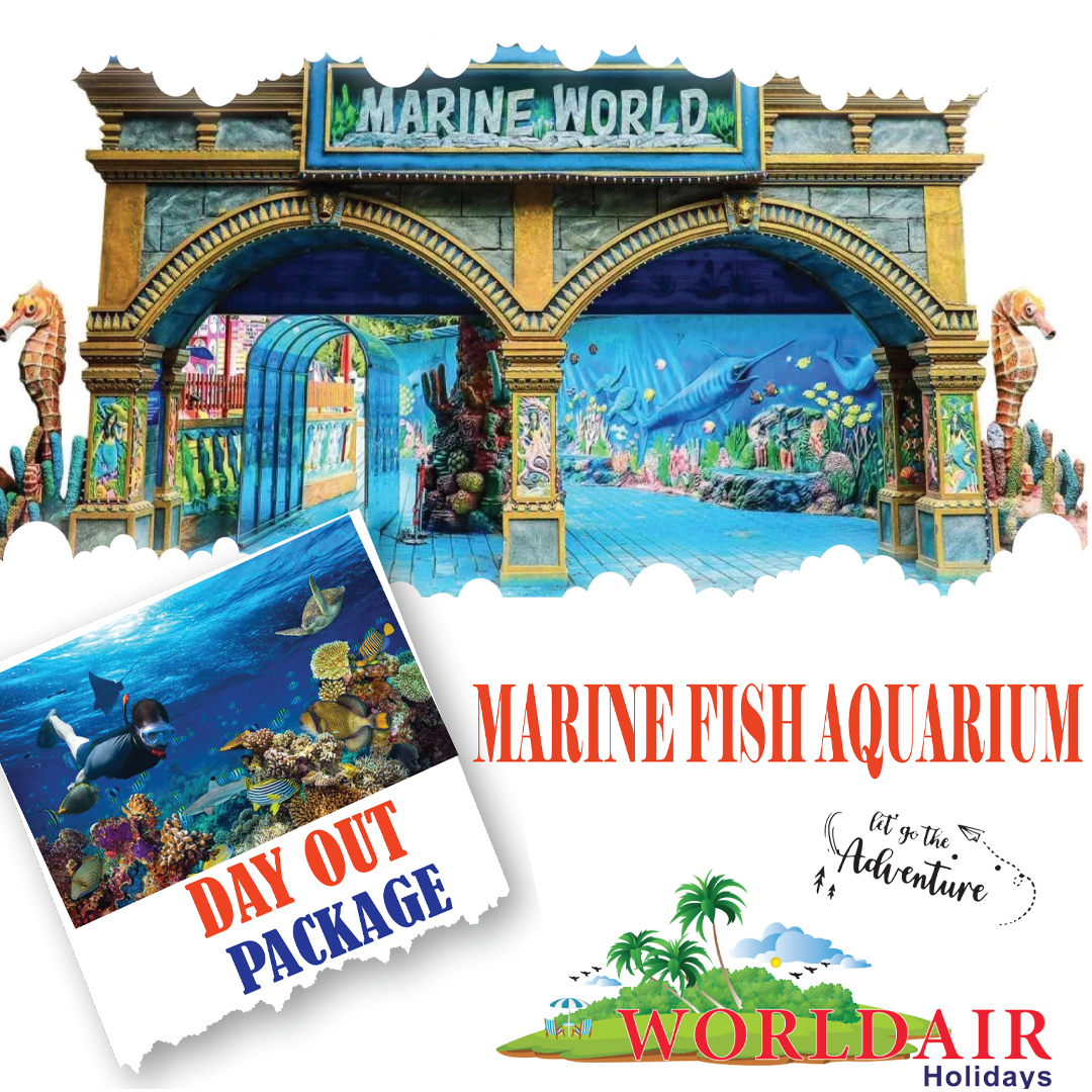 MARINE WORLD DAY OUT
